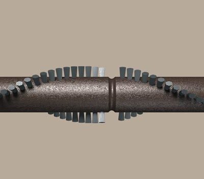 Eureka/Compact & TriStar PN BRUSH Assm